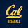 X avatar for @CalBaseball