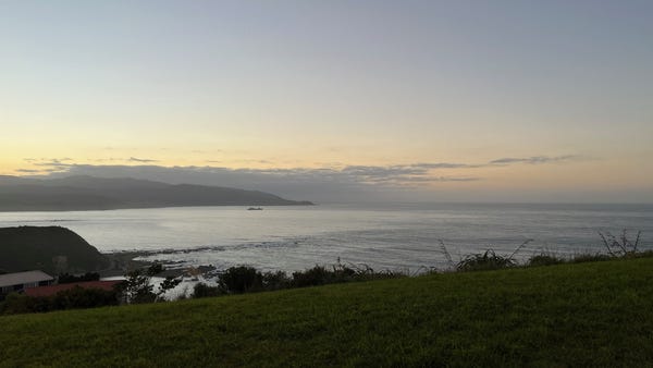 Thursday morning dog walk