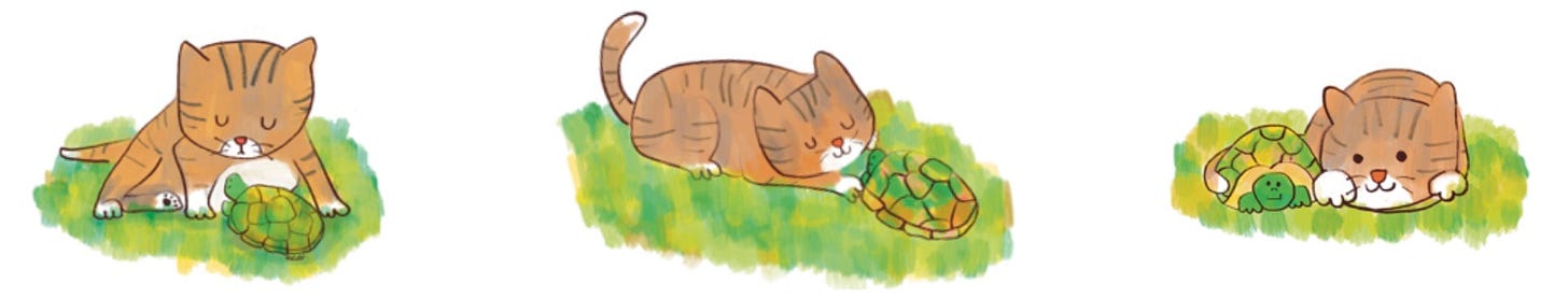 a cute kitten and turtle illustration by Beth Spencer