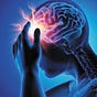 Everyday Neuroscience's avatar