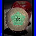 Five Archetype: Soul Octave