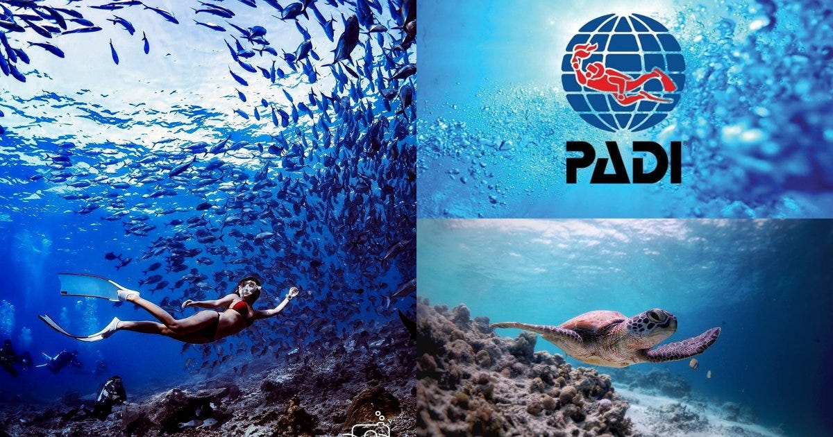 Complete Guide To Getting A PADI Diving License: Price, Best Packages,  Diving Spots, & More! - Klook Travel Blog