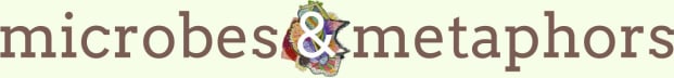 microbes & metaphors