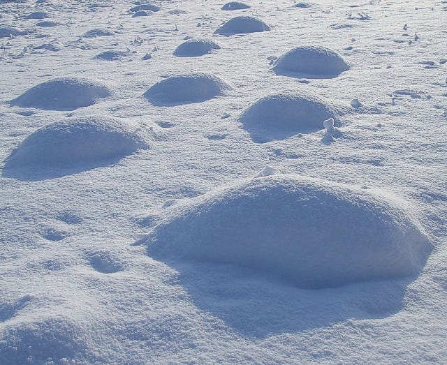 File:Snow bumps - geograph.org.uk - 1650719.jpg - Wikimedia Commons