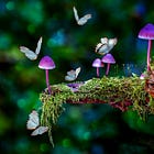 Discovering The Enchanted Universe