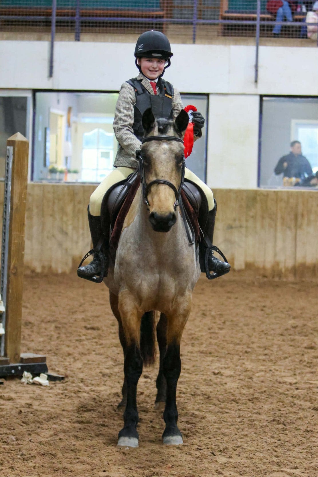Working Hunter wonder at Knockagh View - Horse&Field