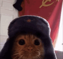 Comrade GIFs | Tenor