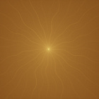 Shaping the Weight We Carry