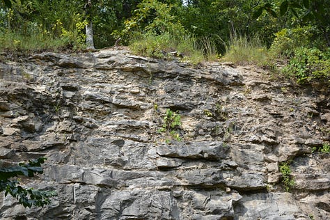A creek, a path in the woods, and a rocky cliff