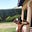 Jeffray Swaka's avatar