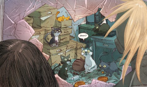 Ms. Marvel & Captain Marvel find a room of stray cats who have been well-supplied with food and blankets.