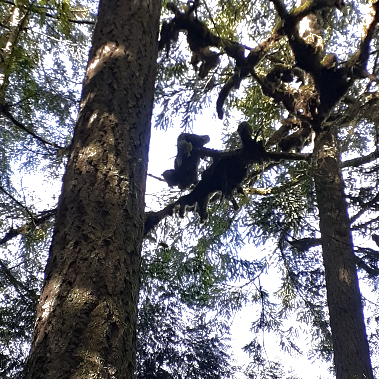 Happy in Our Own Ways