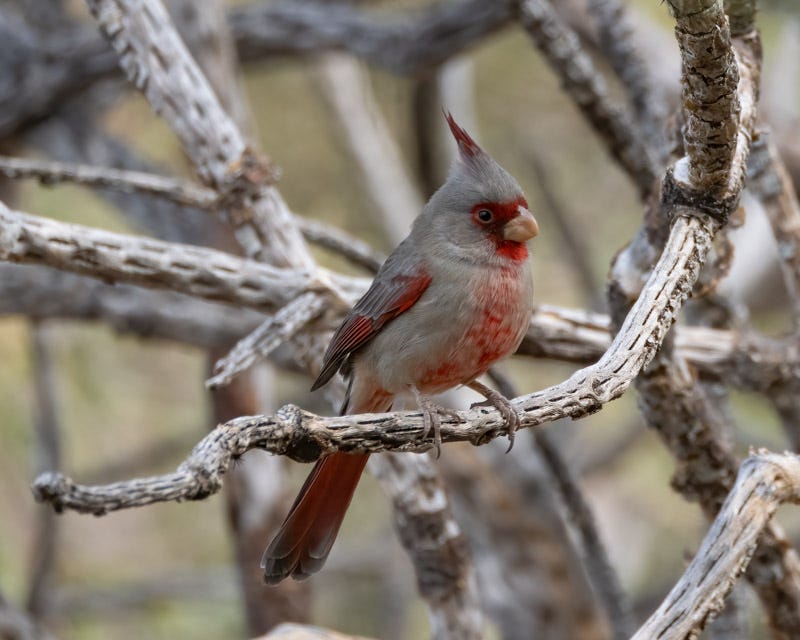 20250127-MBY-7-Edit.jpg 20250127-MBY-7-Edit.jpg