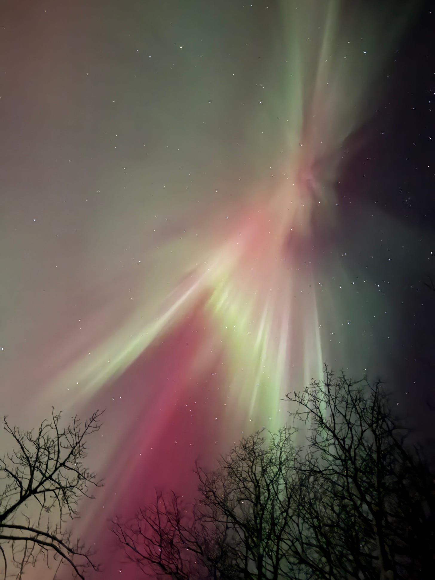 Auroras