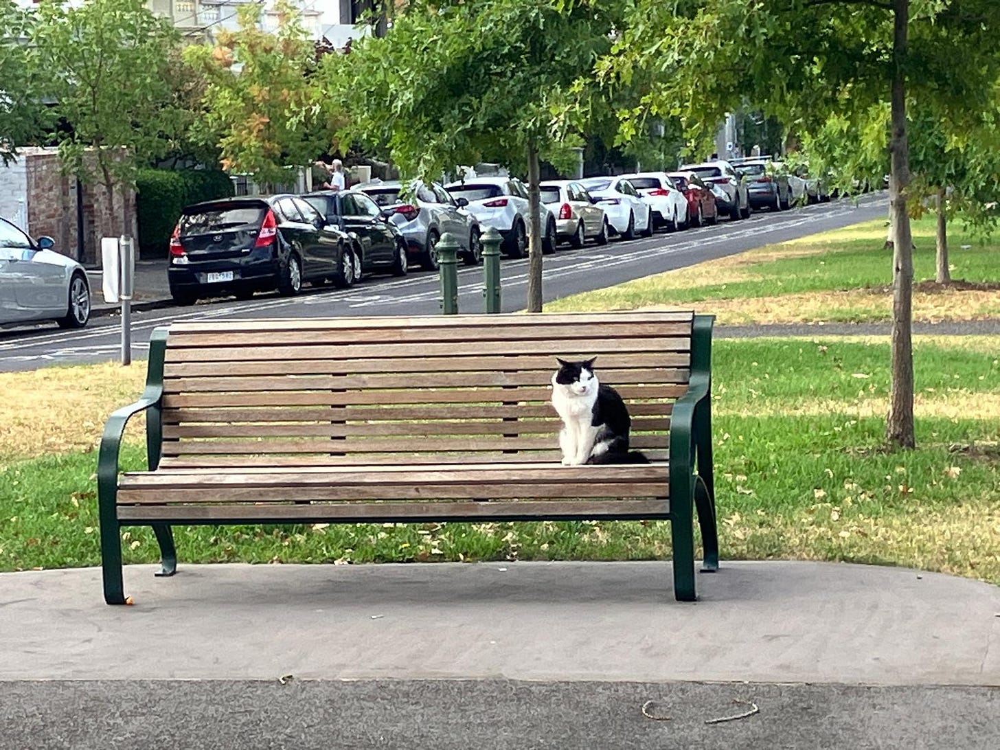 Photo of cat sitting on street bench