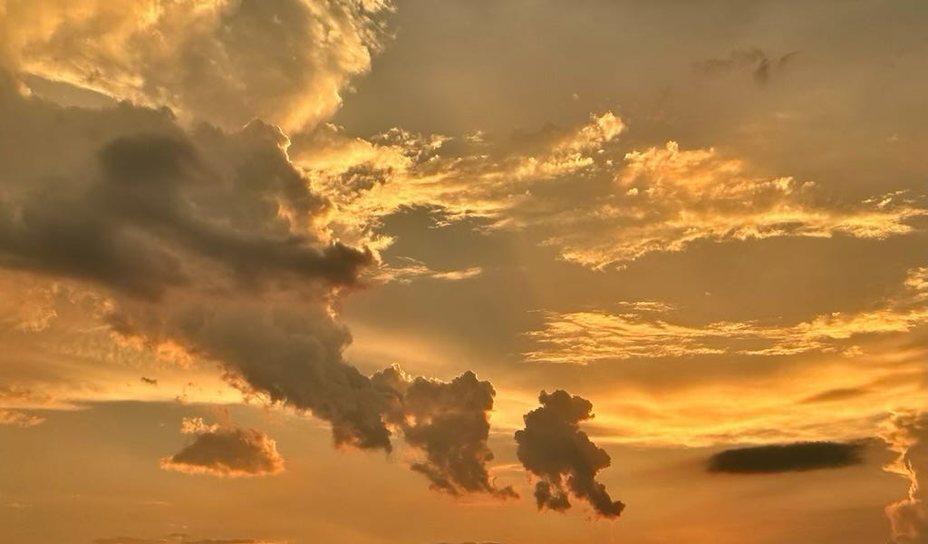 The Promise and the Premise