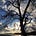 Lynn Jackson's avatar