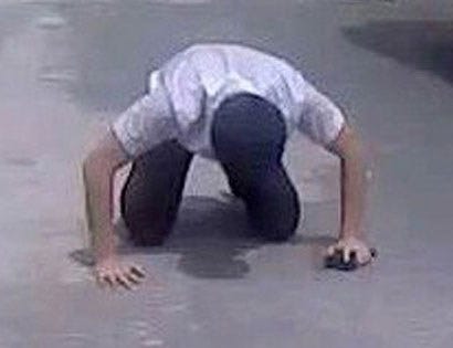 Quỳ 
