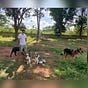 Abhishek Kumar's avatar