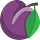 Prune Juice