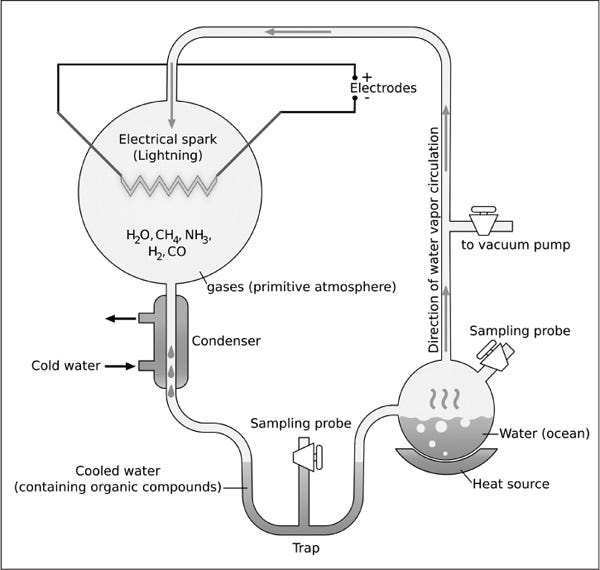 What was the Miller-Urey Synthesis experiment? - The Handy Biology Answer  Book
