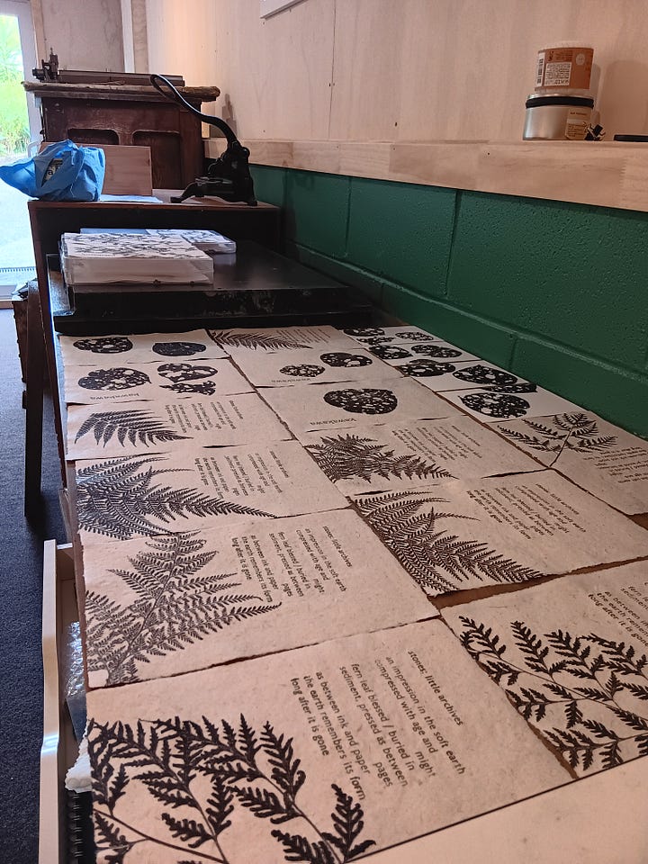 First photo: printing in progress with kawakawa leaves, book presses and an adana press in the background. Second photo an array of prints of text, ferns and kawakawa on handmade paper laid out to dry.
