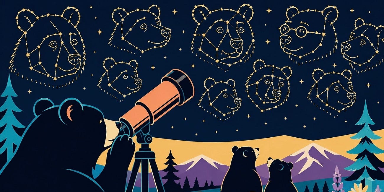 Help Shine a Light on Cloudcroft