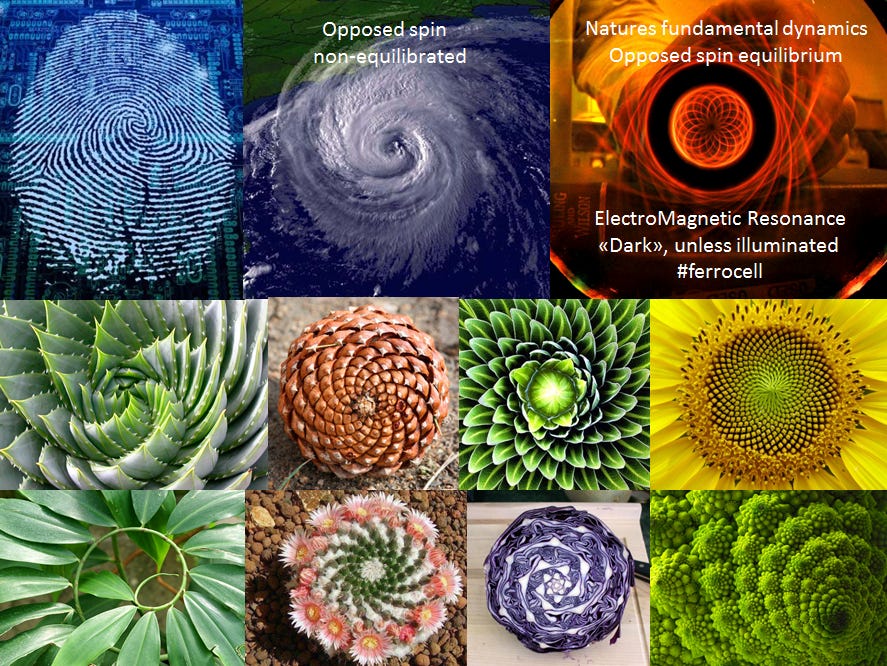 Magnetic resonance - change one of the opposed equilibrated spins seen with ferrocell to create all forms of geometry and motion Magnetic resonance - change one of the opposed equilibrated spins seen with ferrocell to create all forms of geometry and motion