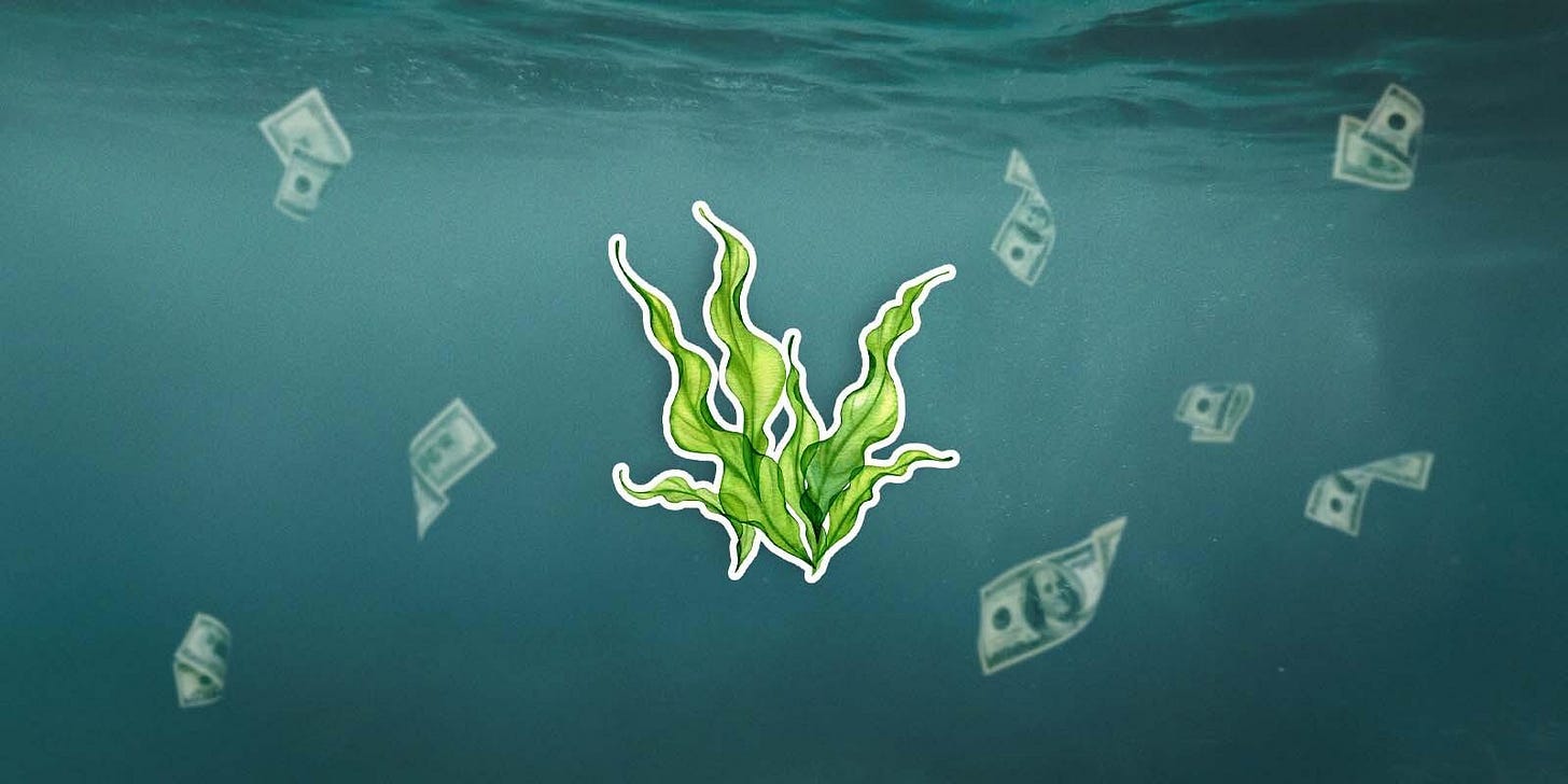 Why Seaweed Investing Could Have You Seeing Green