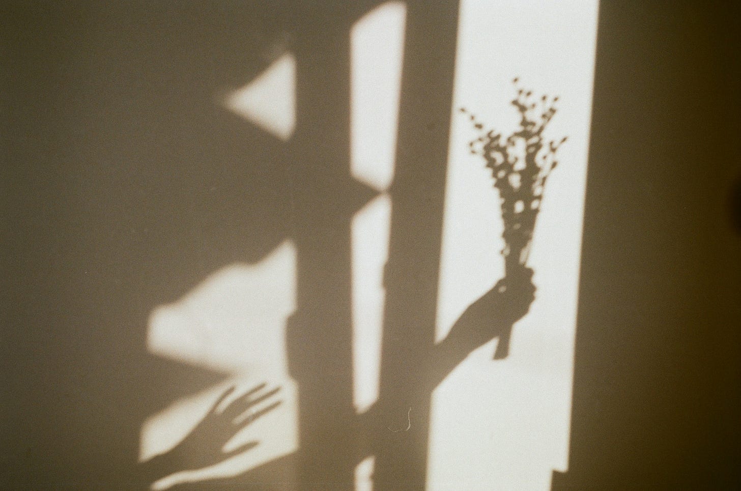 Reach for your flowers