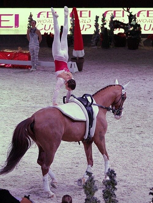 File:Anna salisburgo 2012.JPG File:Anna salisburgo 2012.JPG