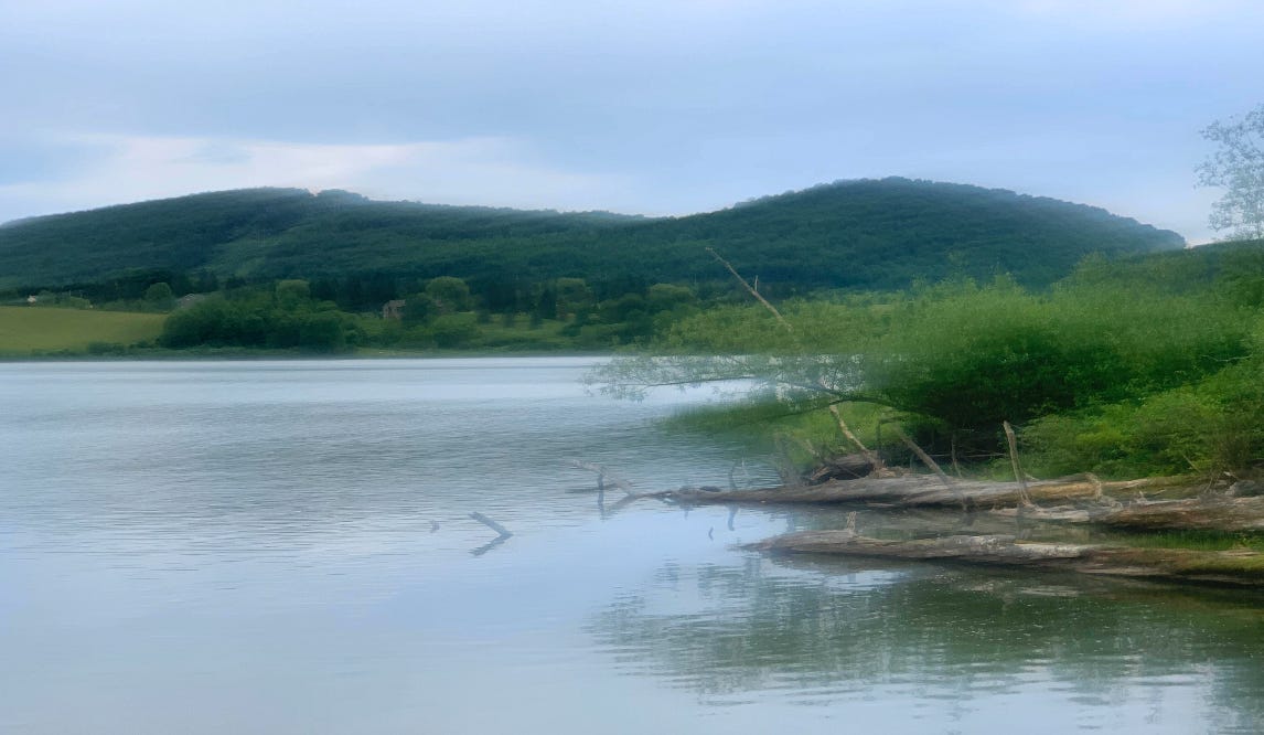 A photo of a lake with a backdrop of green hills. You can see the bank jut out on the right side with driftwood and green plants. A photo of a lake with a backdrop of green hills. You can see the bank jut out on the right side with driftwood and green plants.