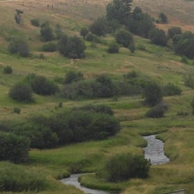 Habitat Conservation in Montana Undergoing a ‘Sea Change’ 