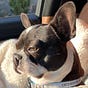 Betsy's avatar