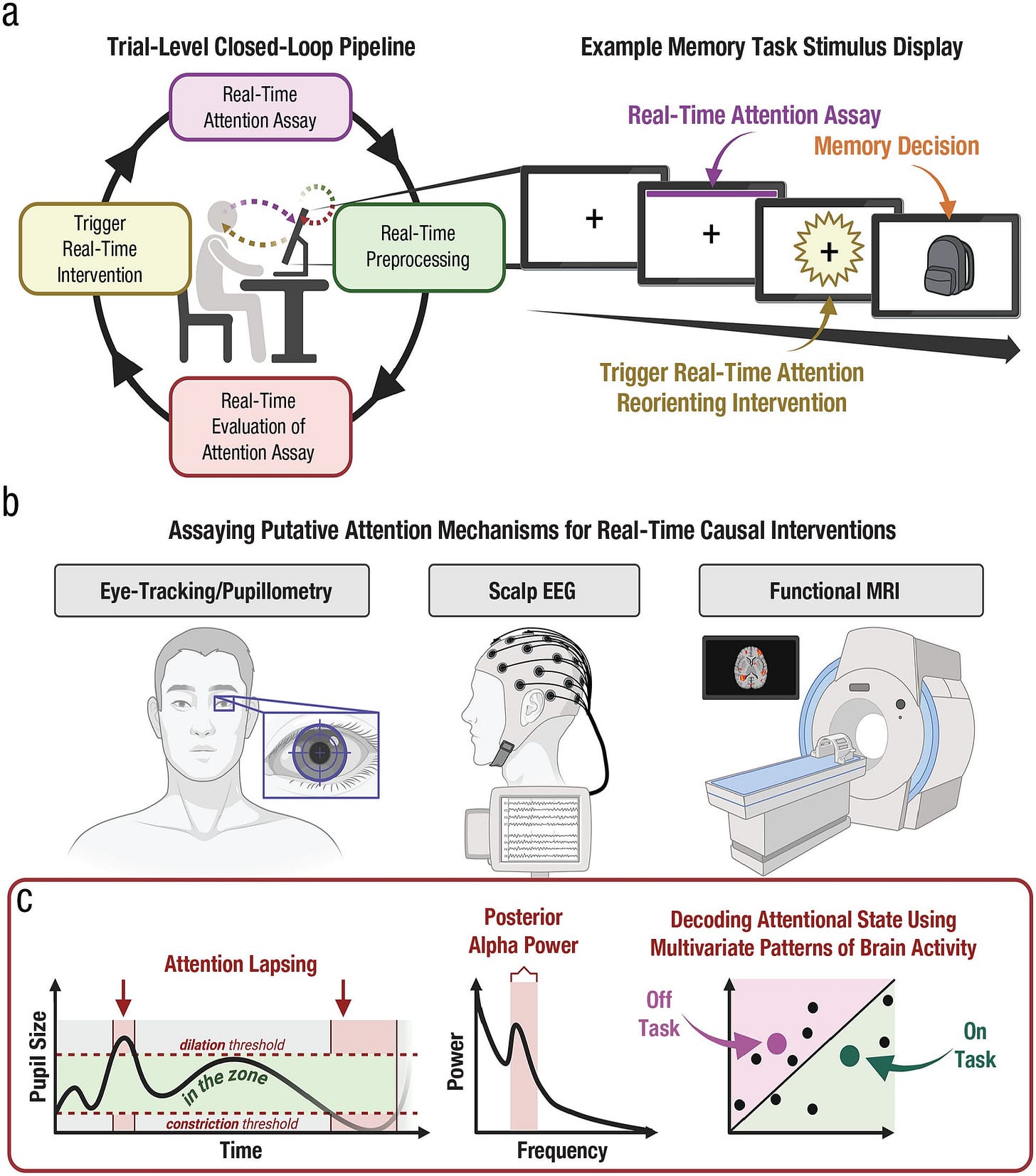 Fig. 4. Innovative techniques for real-time closed-loop interventions on attention (and cognition more broadly). Fig. 4. Innovative techniques for real-time closed-loop interventions on attention (and cognition more broadly).