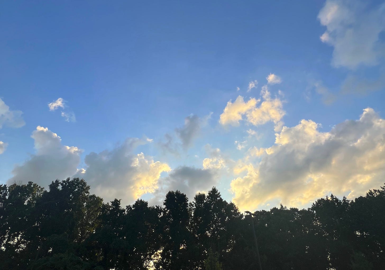 A beautiful Georgia sunset