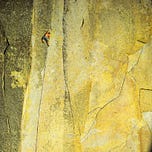 Surviving Healthcare