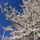 Q1 in Books, Music and Everything Else 