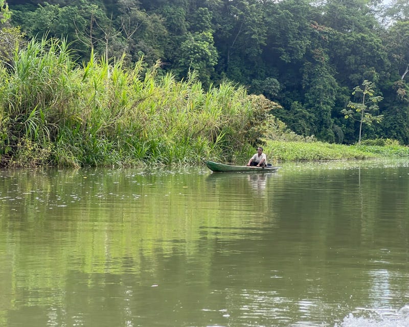 20260221-PanamaCell-7-Edit.jpg 20260221-PanamaCell-7-Edit.jpg