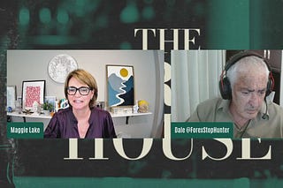 The Market House | Maggie Lake | Substack