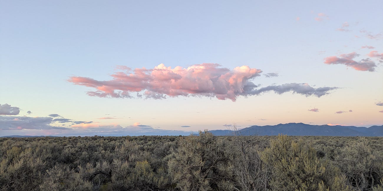 I Don’t Want to Make Money Doing What I Love