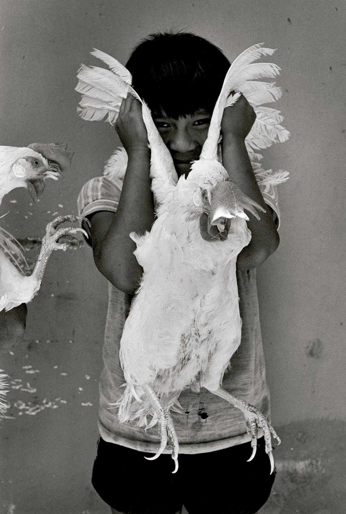El gallo [The rooster], Juchitán by Graciela Iturbide - Fundación MAPFRE