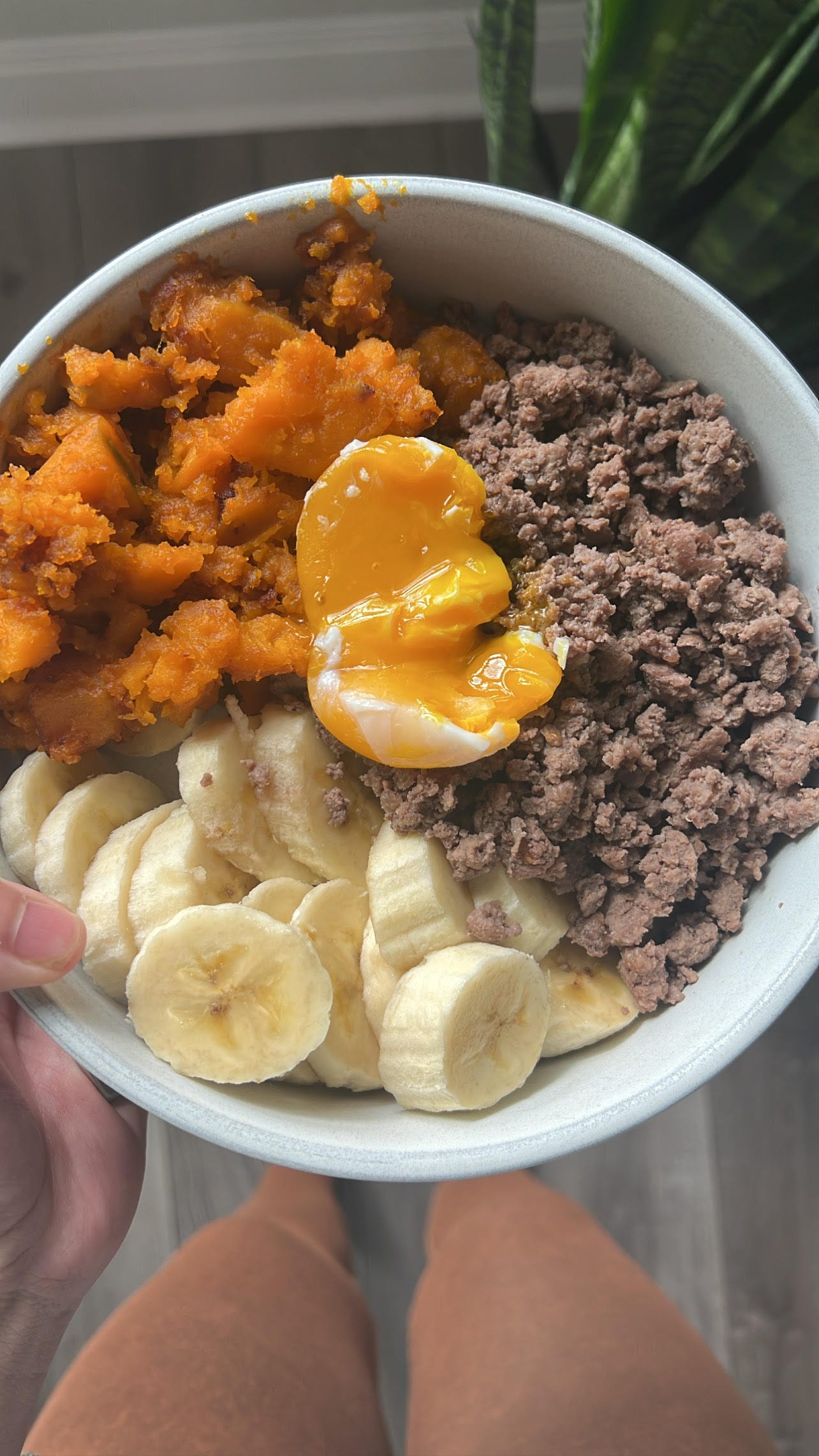 animal-based diet while breastfeeding