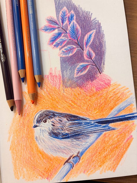 Colourful pencil drawings in a sketchbook