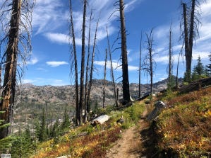 Screen Shot 2019-09-17 at 11.09.48 AM.png