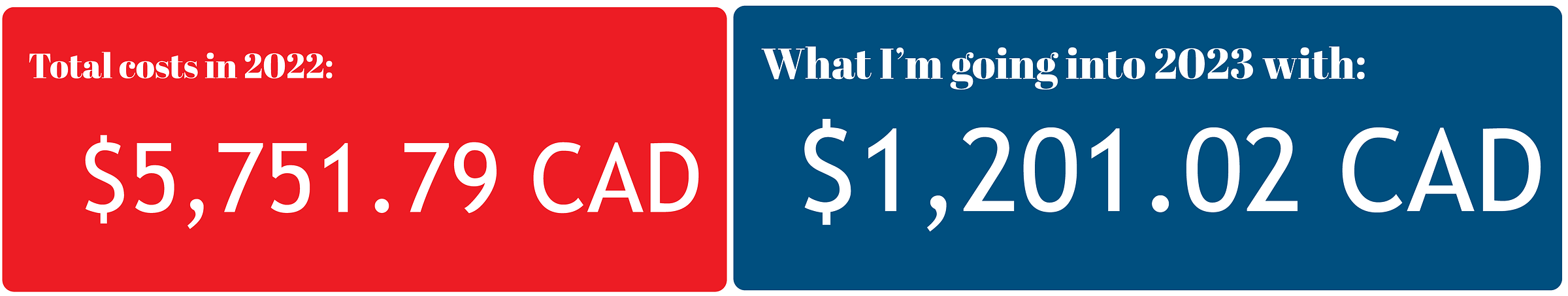 Graphic showing my total costs for the year, $5,751.79, and my closing balance of $1,201.02