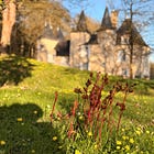 Private Chapter: The Château Garden Dossier