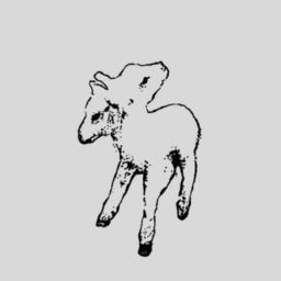 a garota em pele de cordeiro.