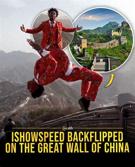 Wealth (@wealth) • Instagram photos and videos