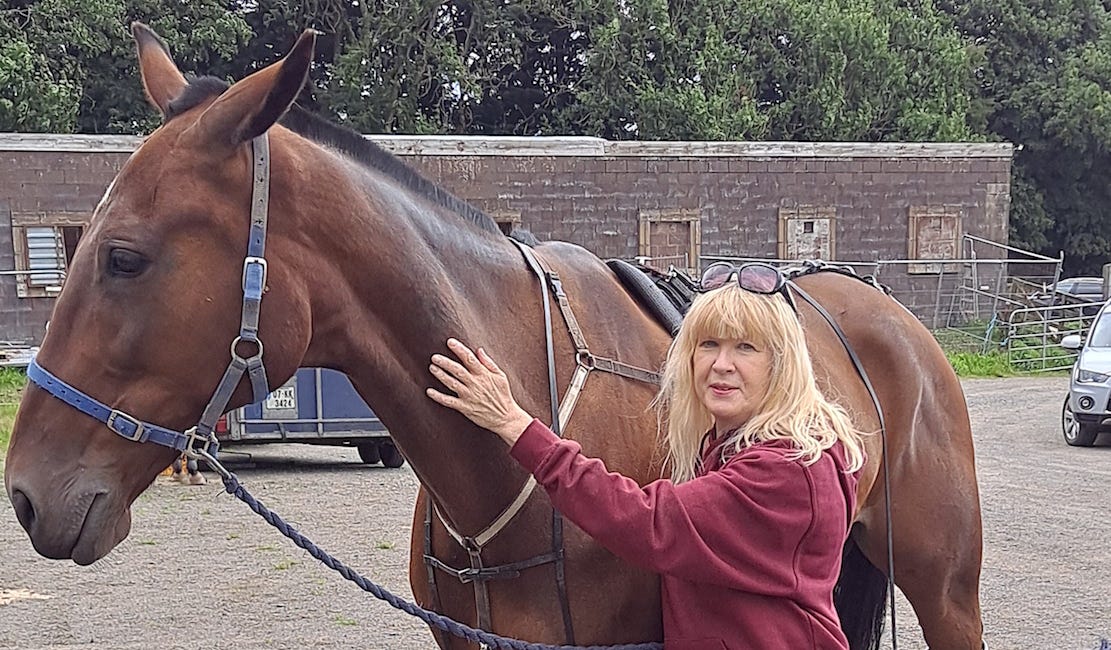 Harness racing stars enjoy Equine Reiki demo